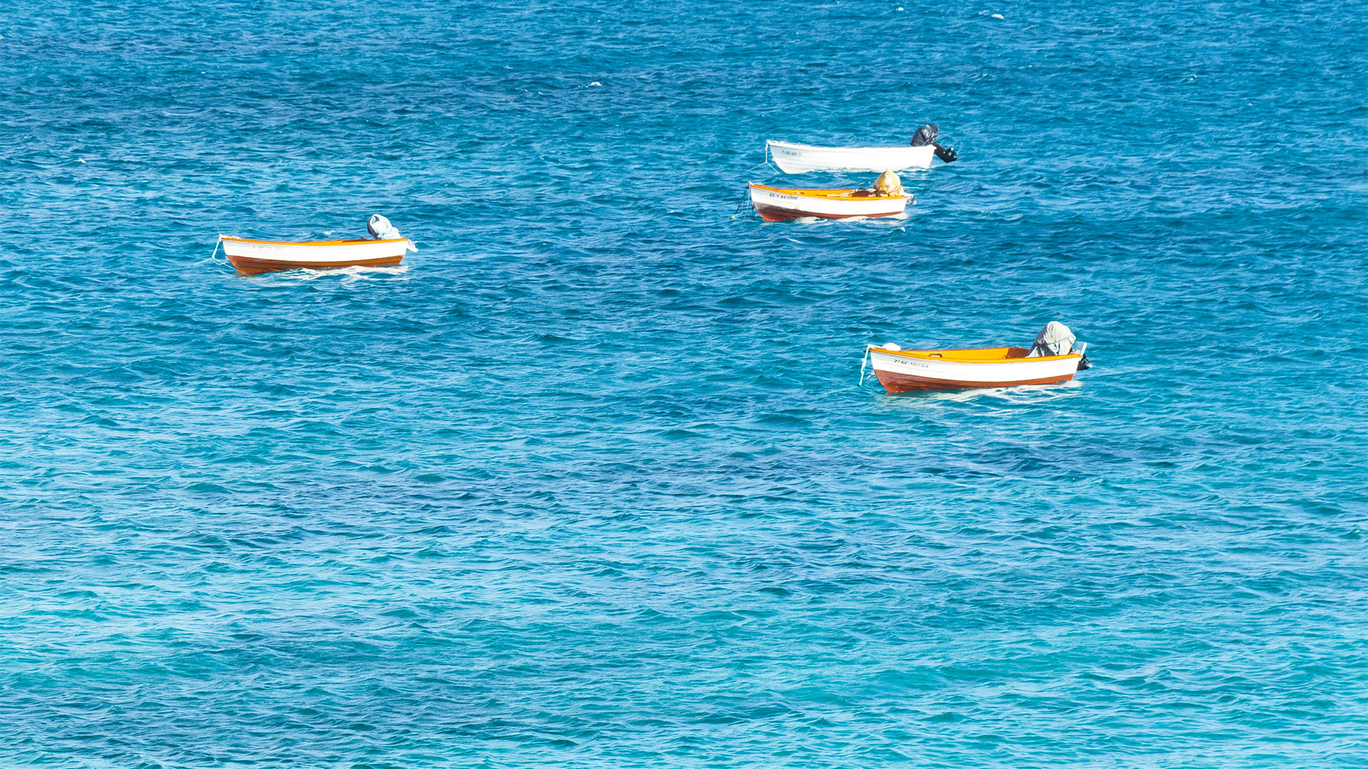 Fischen Hochseefischen Angeln auf Fuerteventura.