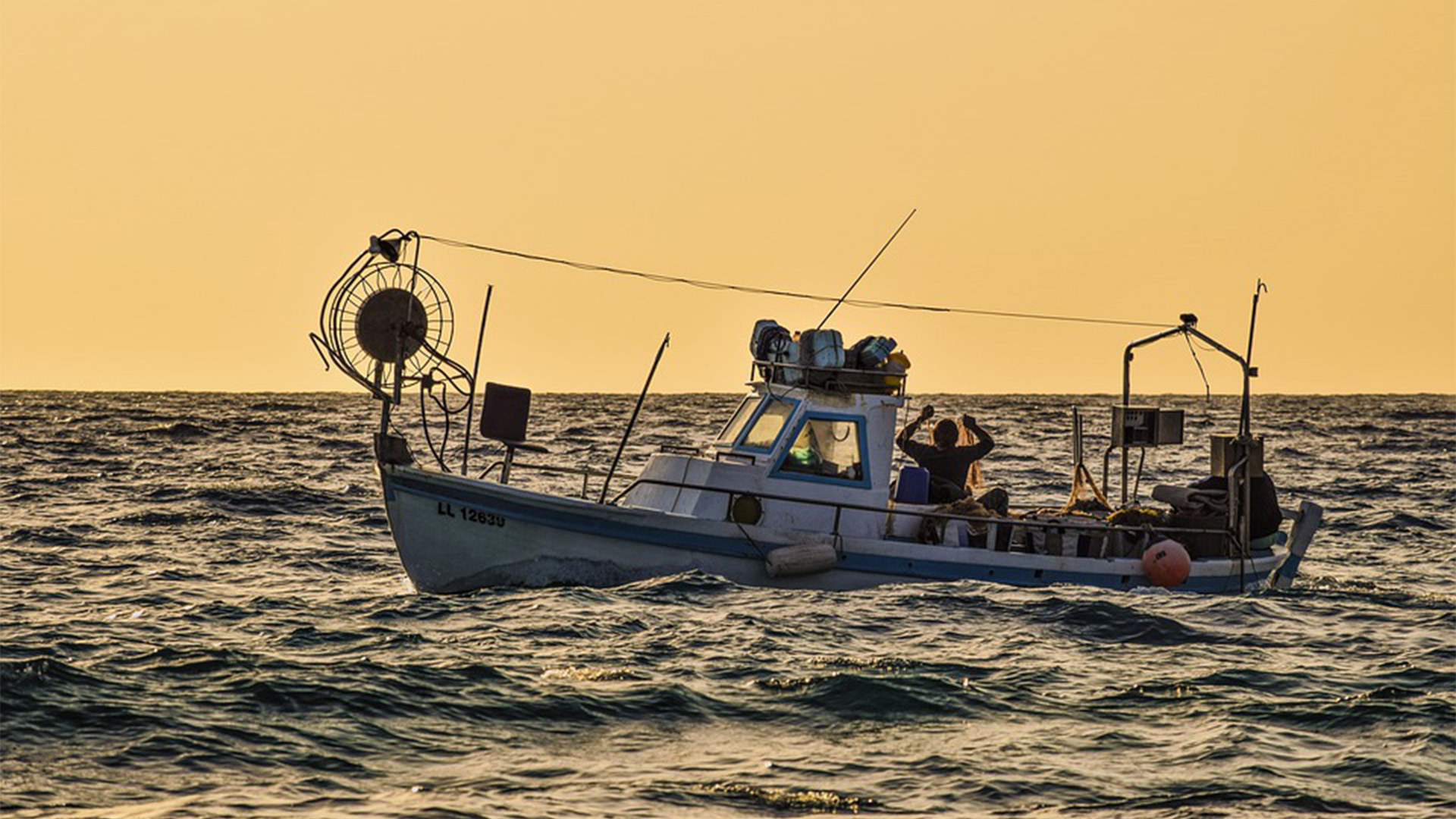 Aktivitäten Sport Fuerteventura – Fischen, Hochseefischen, Tiefseefischen