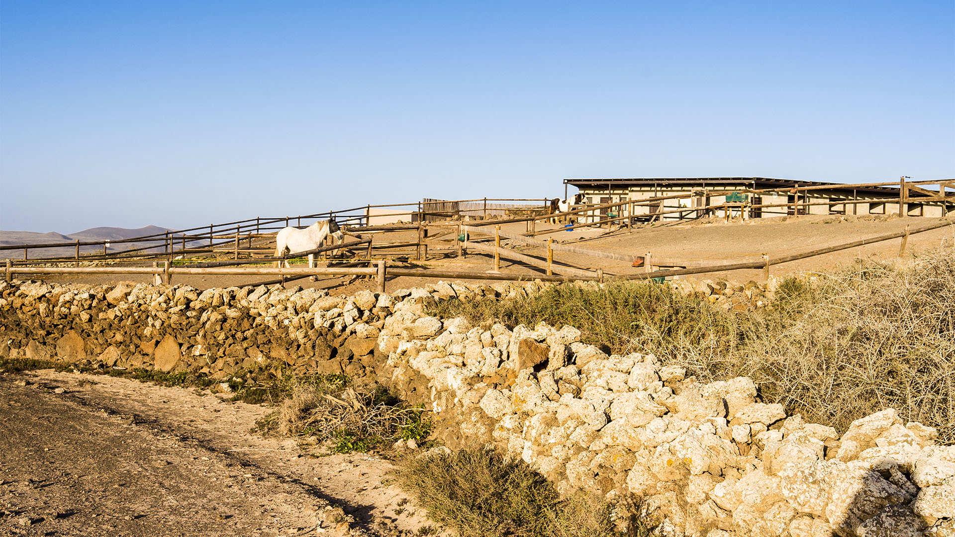 Reiten auf Fuerteventura.