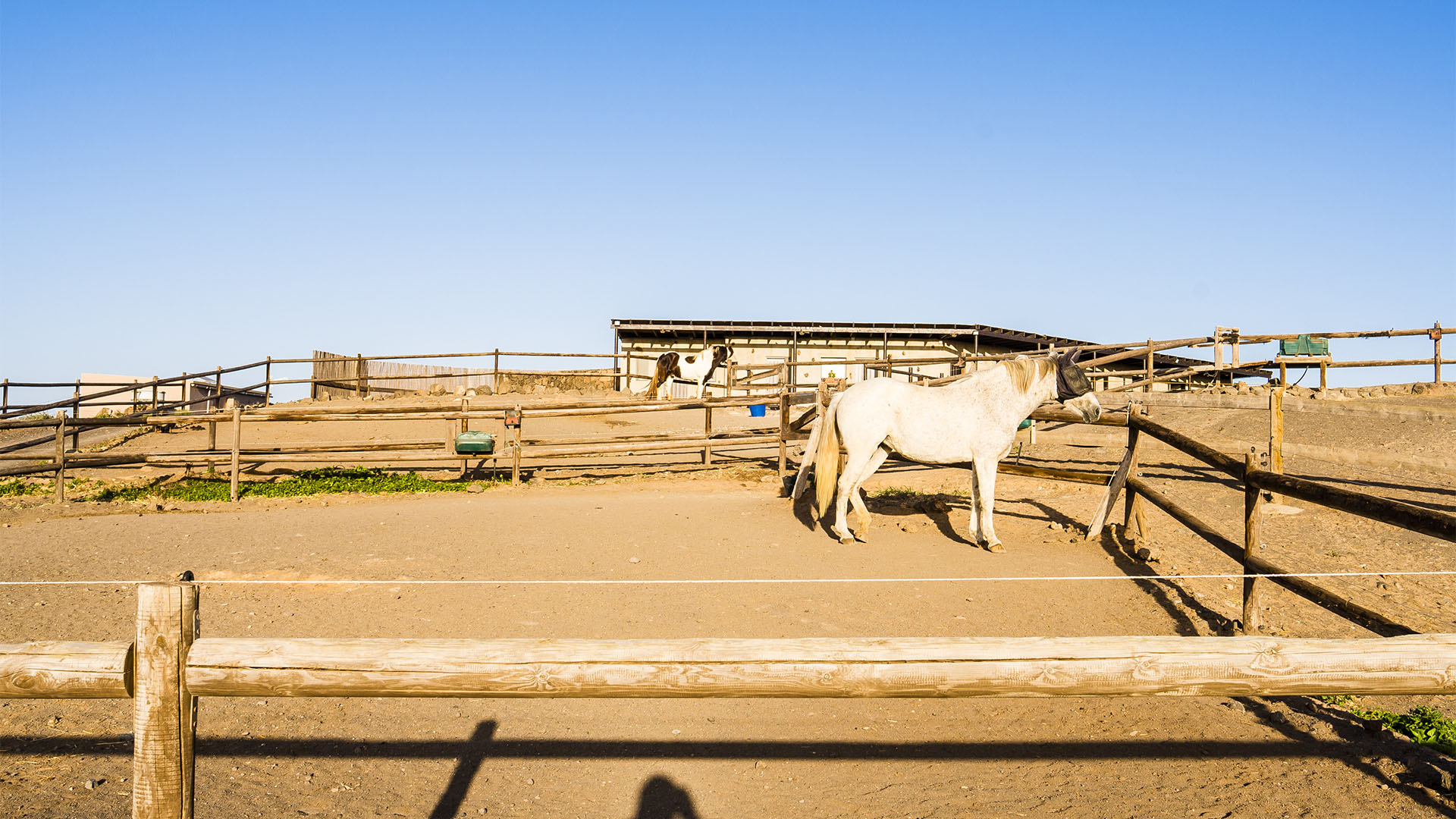 Reiten auf Fuerteventura.