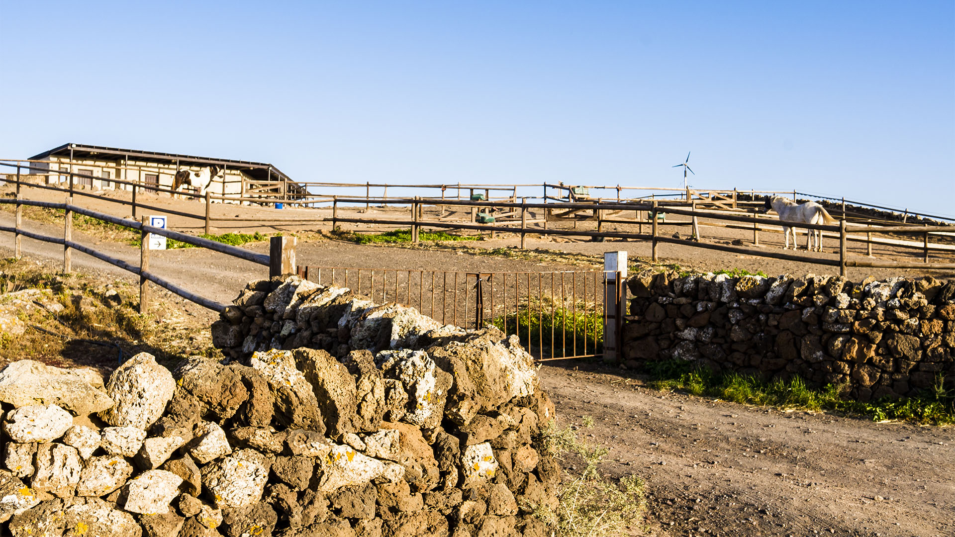 Reiten auf Fuerteventura.