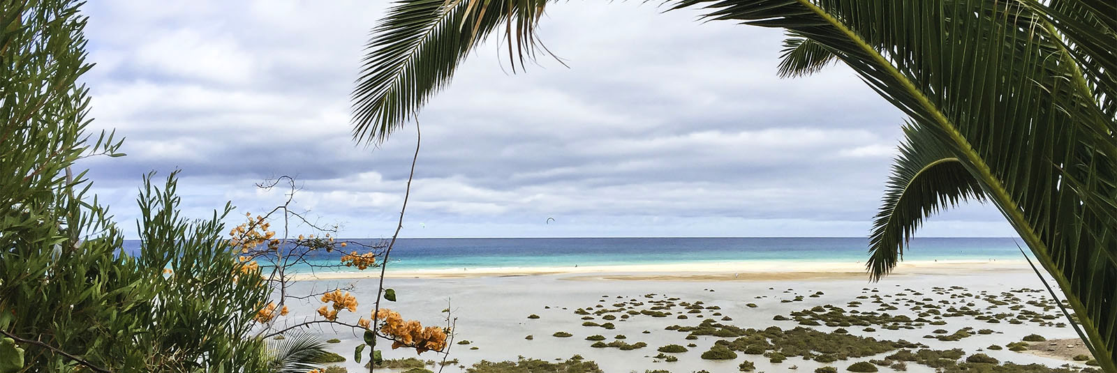 Gastronomie Fuerteventura: Costa Calma