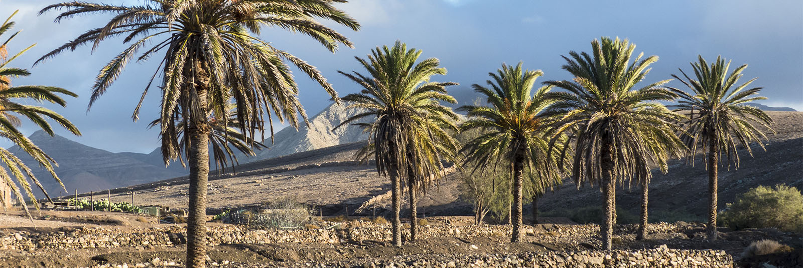 Location Scouting – wir kennen nicht nur Fuerteventura wie unsere Westentasche, wir verstehen auch etwas von Licht, Locations, Logistik und Catering.