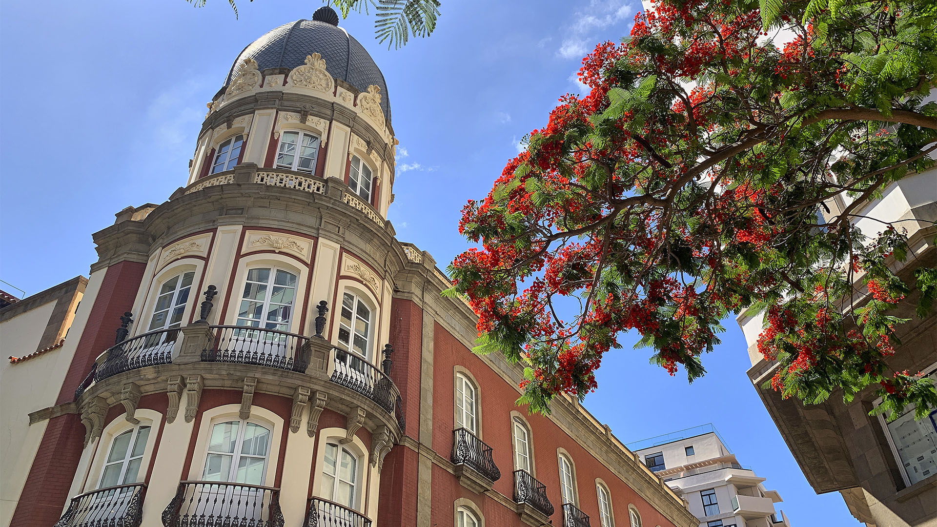 Die Altstadt von Santa Cruz de Tenerife.