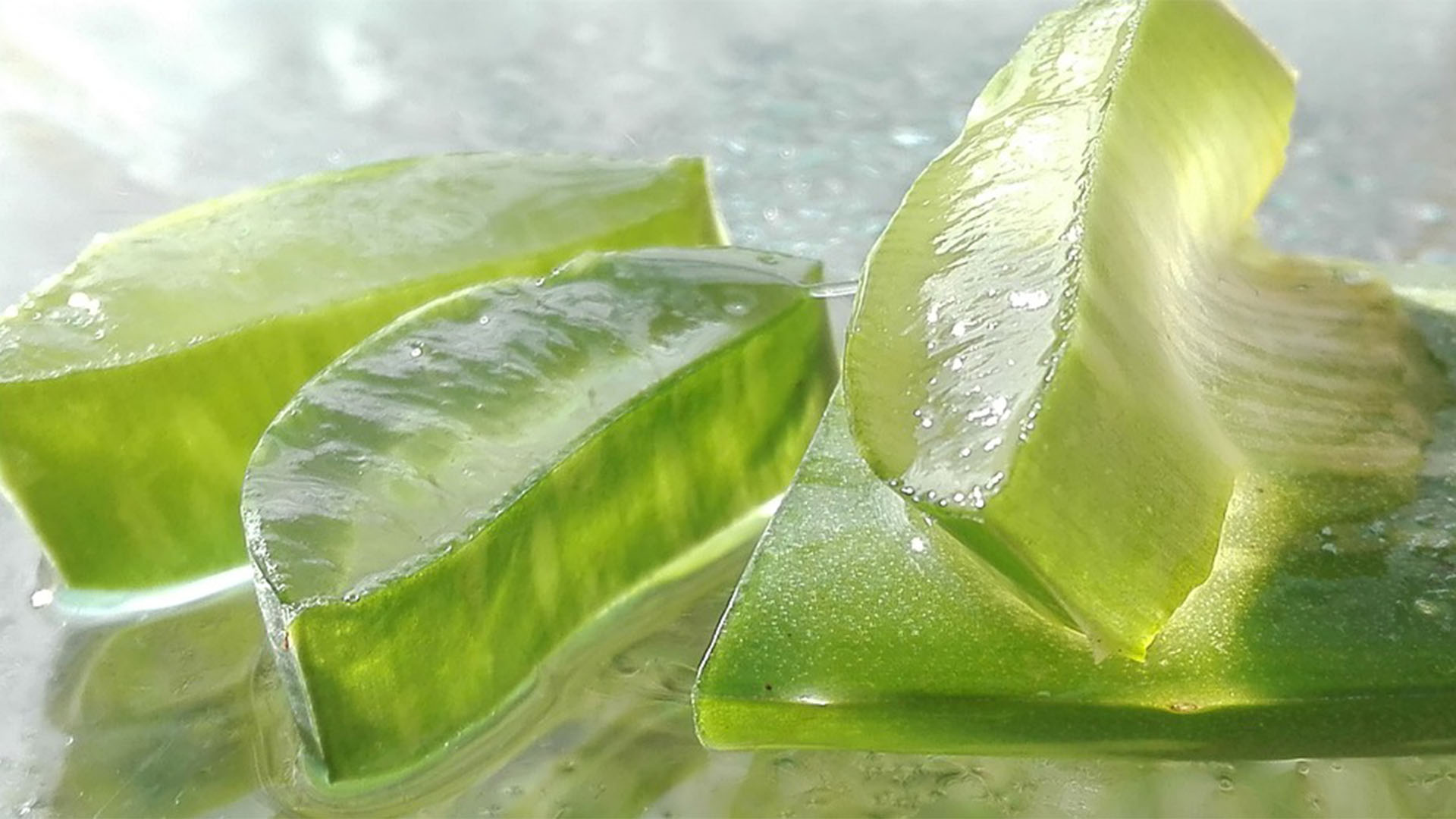 Das Aloe vera Gel.