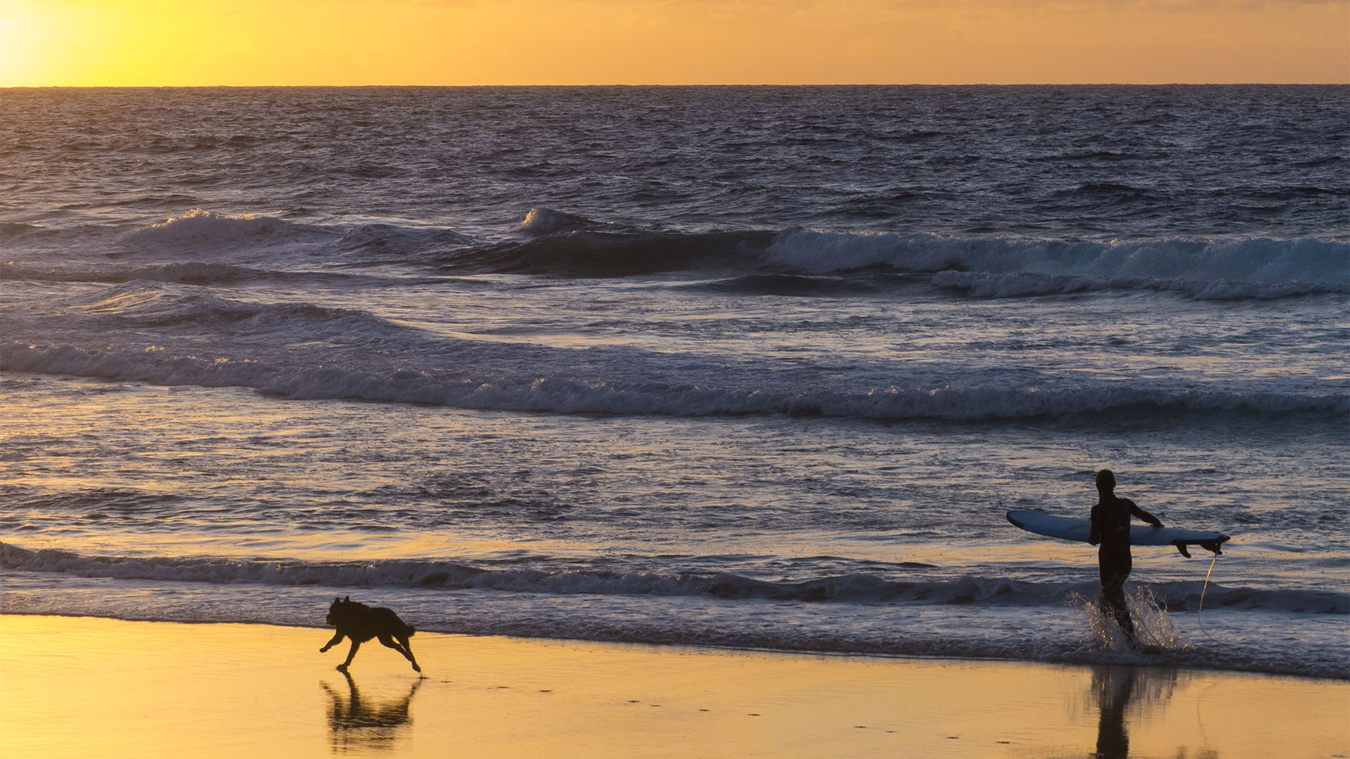 Surfen im Norden Fuerteventuras an den Stränden um El Cotillo.