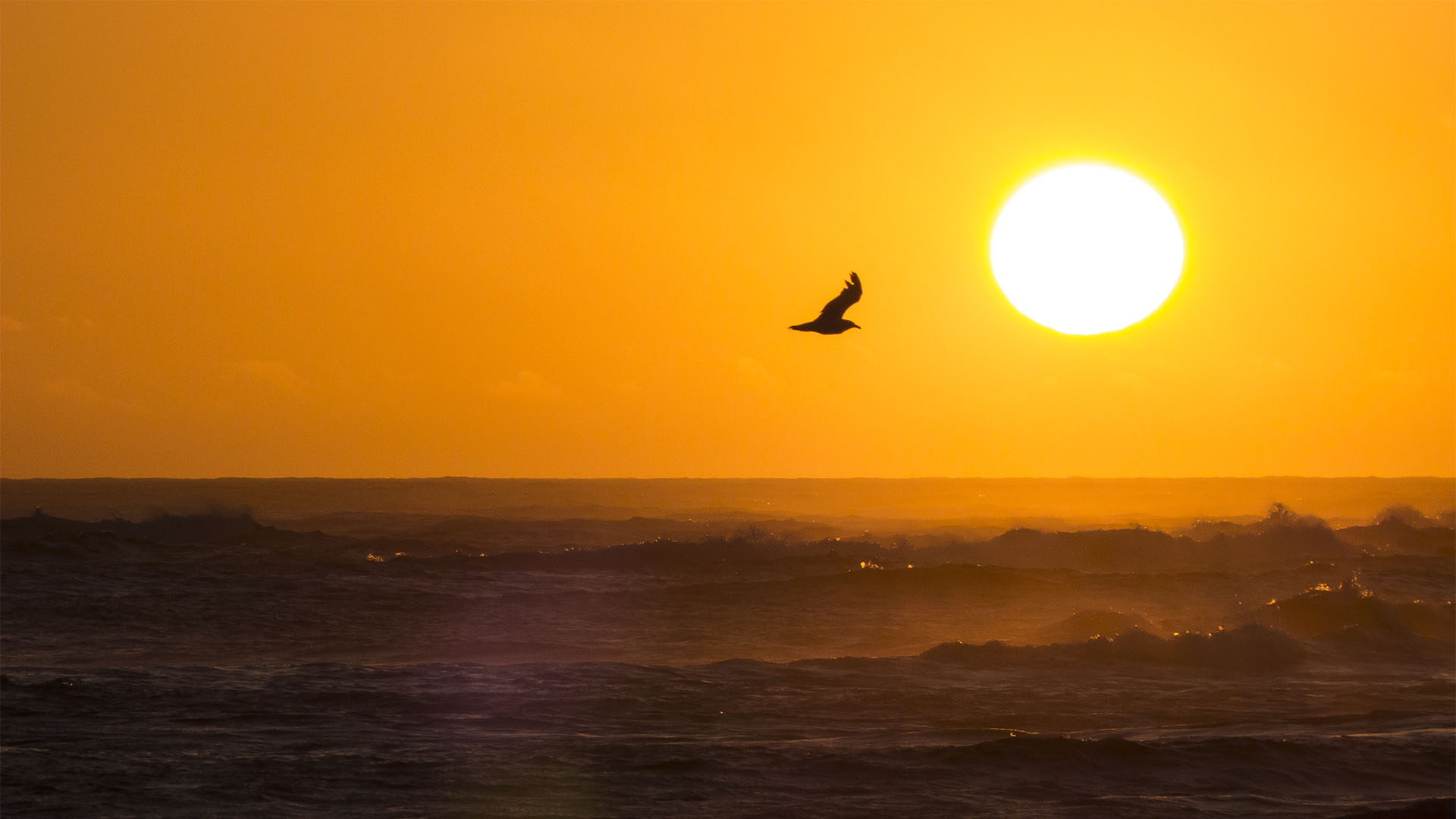 Sommerstimmung an der Westküste von Fuerteventura.