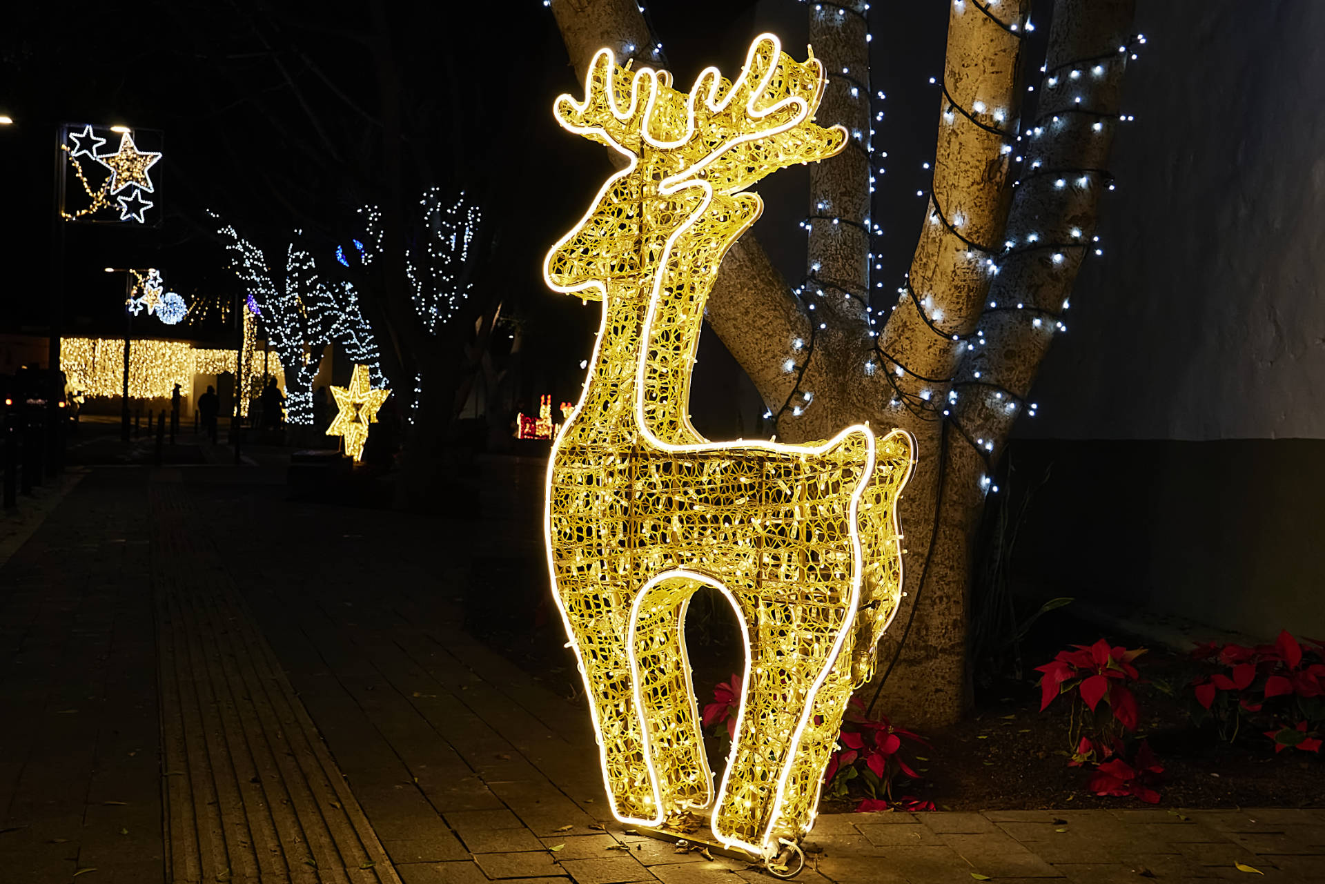 Das weihnachtliche Pájara auf Fuerteventura am 7. Dezember 2023.